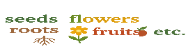 cnseed.org